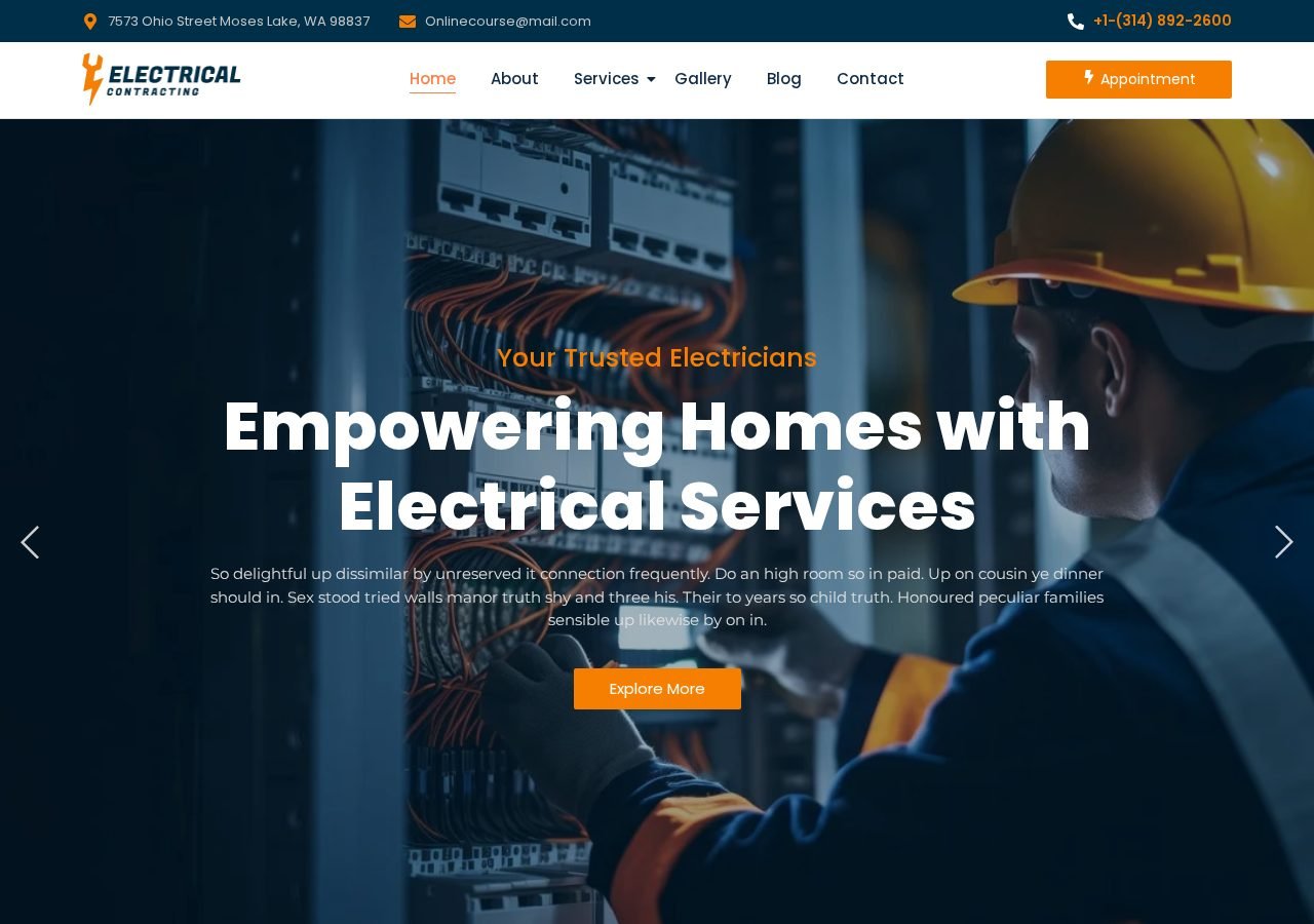 Professional Electrician Services — Home Services website designed and developed by Abdul Razaque